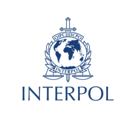 interpol logo